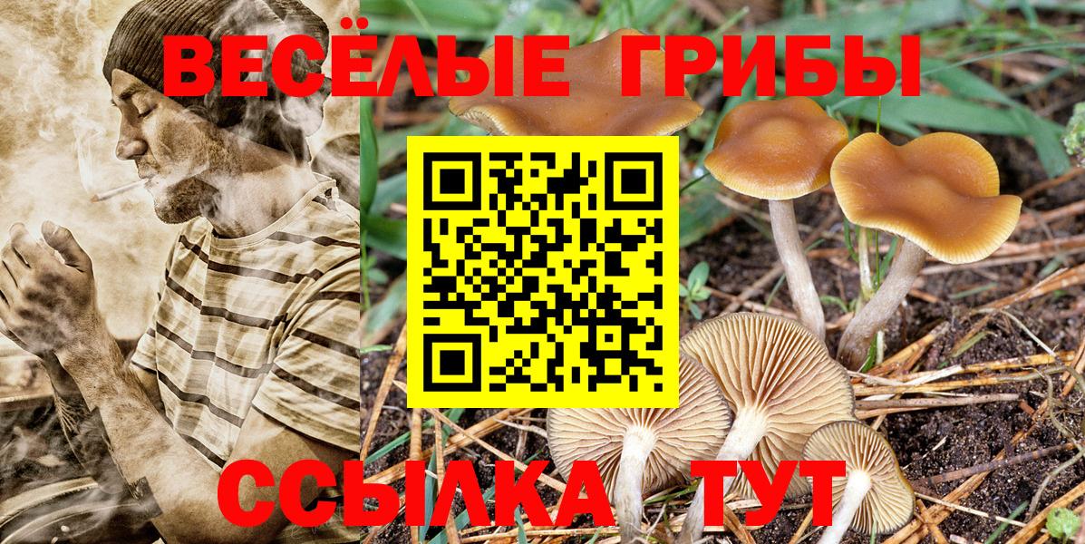 Псилоцибиновые грибы GOLDEN TEACHER  магазин  наркотиков  Урюпинск  Вход с VPN 
