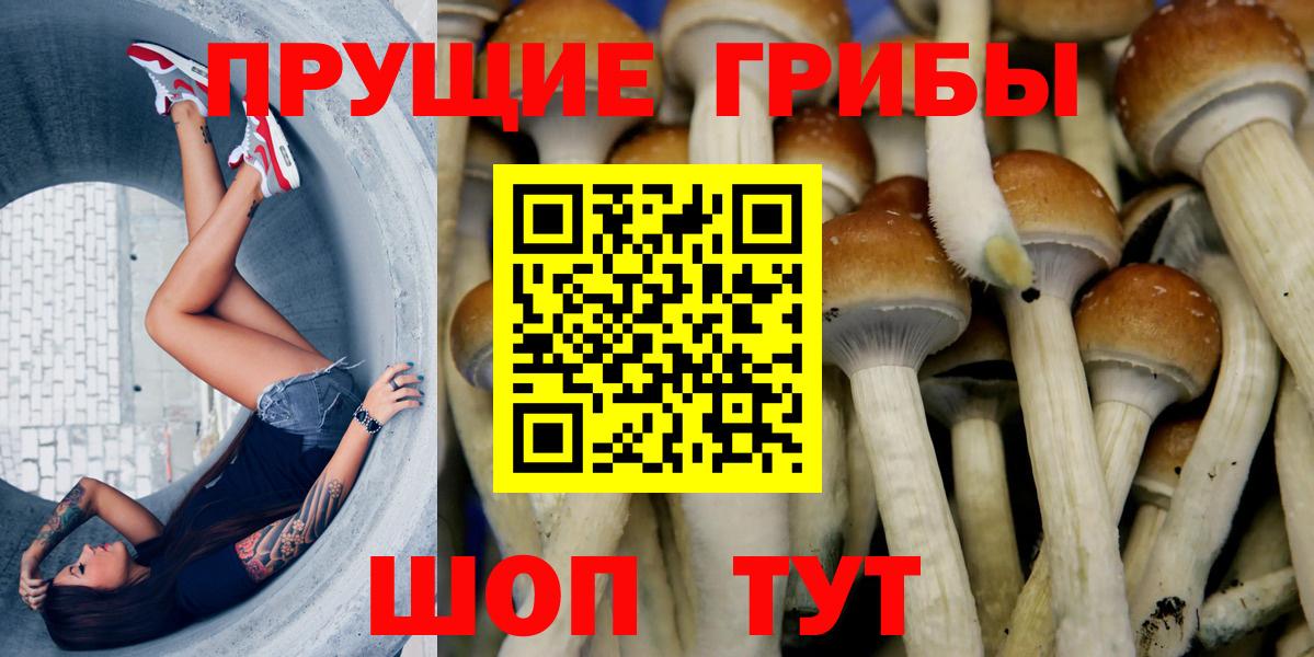 Галлюциногенные грибы GOLDEN TEACHER Урюпинск